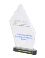 Kushal CREDAI Contribution Appreciation Award