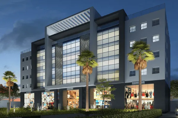 Commercial project